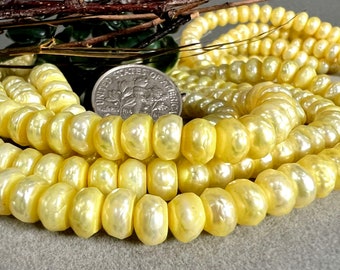 Genuine Yellow Cultured Freshwater Donut Pearl 6mm x 4mm Bead 16" Strand 6810