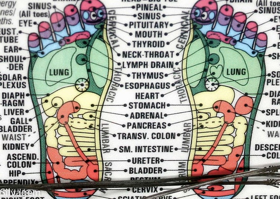 Foot Reflexology And Oil Usage Chart