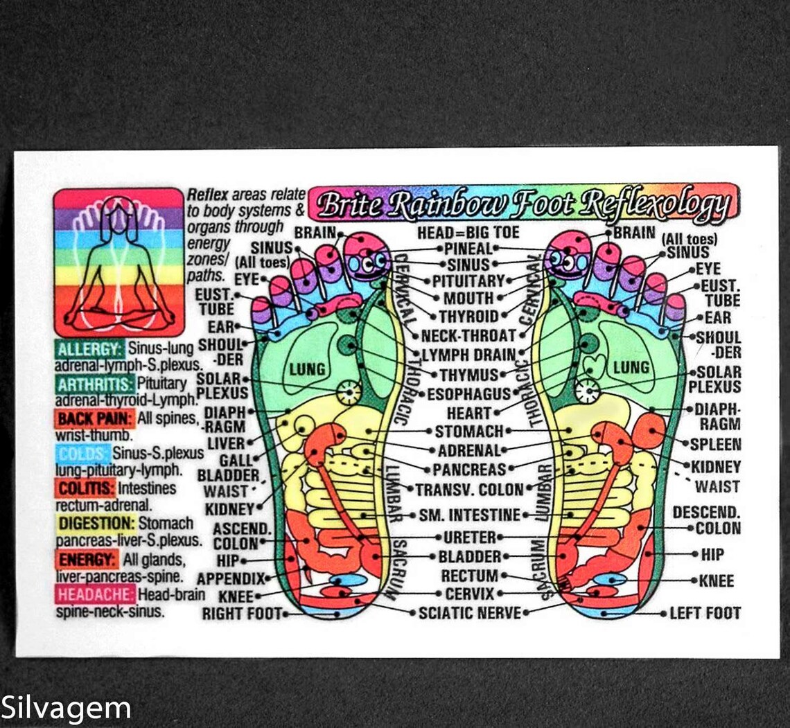 Foot Hand Reflexology Acupressure Code Laminated Wallet Card Chart My