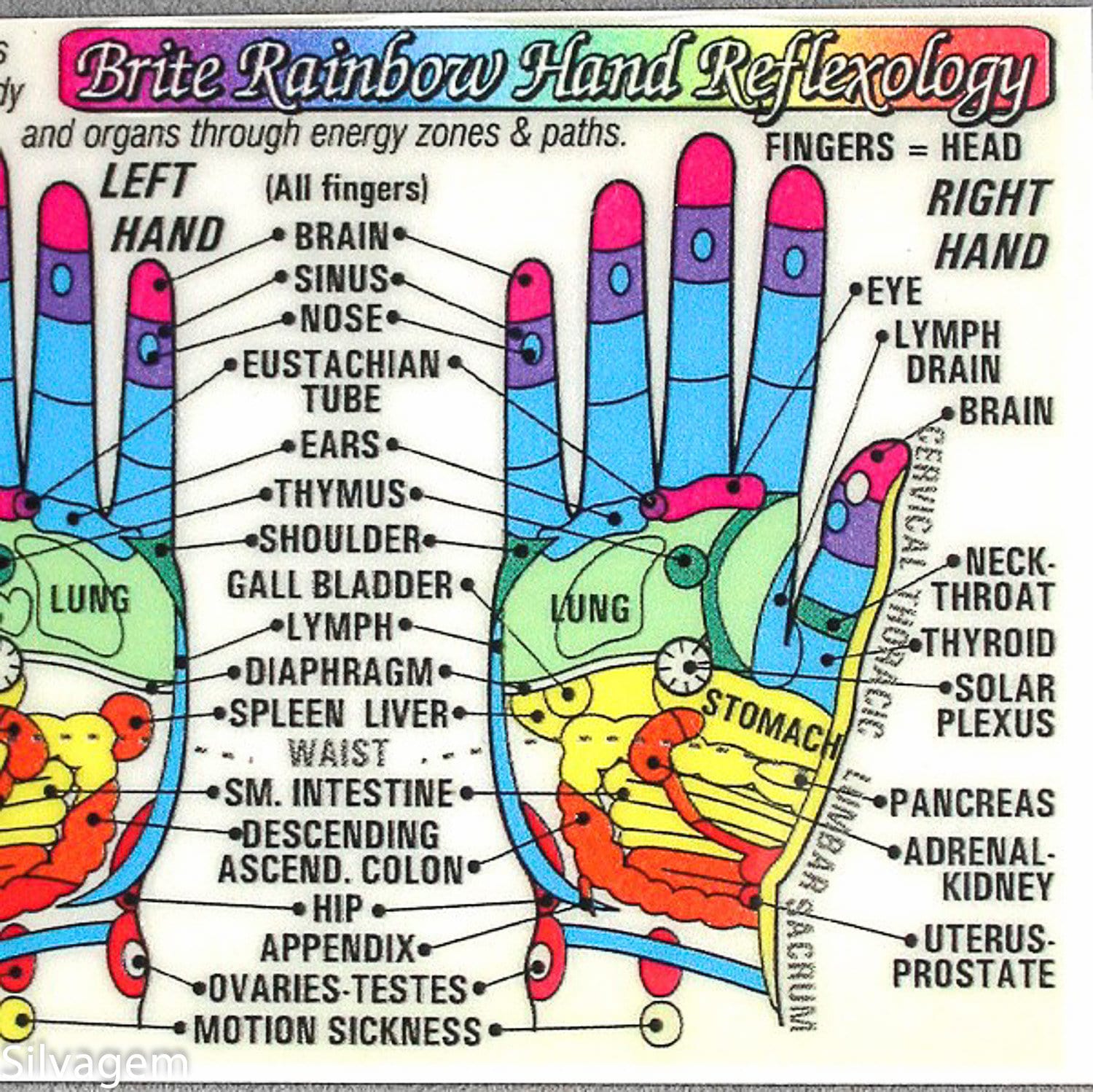 Hand Reflexology Chart Pdf Hot Sex Picture