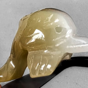 Brazilian Agate Bottle Nose Dolphin Spirit Animal Totem Fetish Stone Figurine 7101