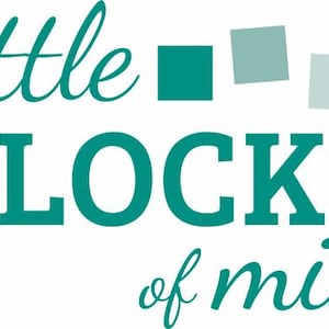 May include: Teal blue logo with the text "little BLOCKS of mine" with three teal blue squares above the text.