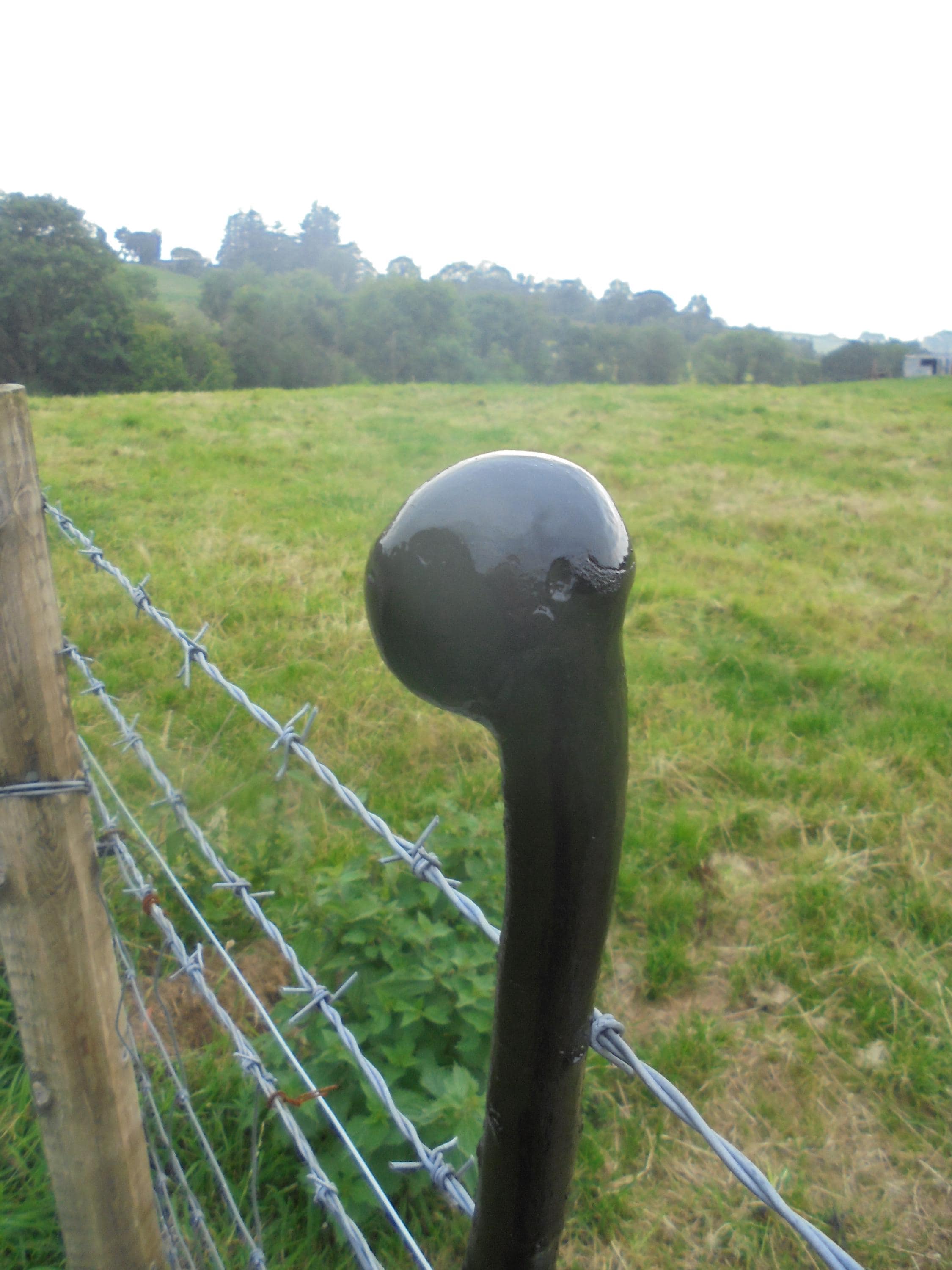 Irish Blackthorn Walking Stick, Cane. Handmade In Ireland. The Stick You See Here Is The Stick You Will Receive.