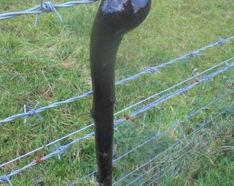 Irish Walking Stick Cane