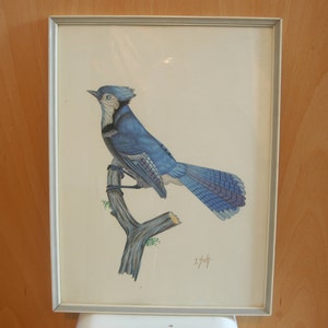 Painting / Bird / Blue / Exotic / Blue Bird / Monographed with J.SCH / Bird of Paradise