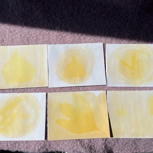May include: Six small, square watercolour paintings in yellow and white. The paintings depict abstract shapes and botanical forms, including leaf and petal designs. The artwork is displayed on a pink surface.