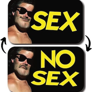 Sex No Sex Dirty Clean Dishwasher Magnet - 3,5 &quot;x 2,5&quot; Reversibler doppelseitiger Kühlschrankmagnet - Lustiges Geschenk für Erwachsene, lustige Kühlschrankmagnete