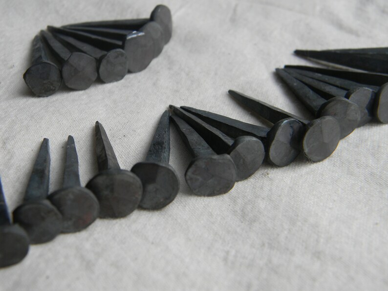 Puede incluir: Una colecci&oacute;n de clavos de metal negro con cabezas cuadradas. Los clavos est&aacute;n dispuestos en dos filas, con las cabezas hacia arriba.