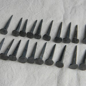 Puede incluir: Veinticuatro clavos de metal negro con cabeza plana. Los clavos est&aacute;n dispuestos en dos filas de doce.