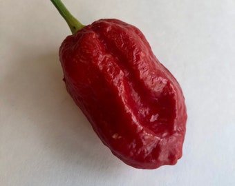 icy and spicy, vegan chili ketchup with paprika-