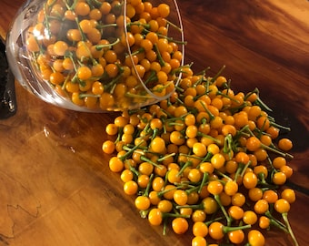 Aji Charapita - (Capsicum chinense) - Seeds