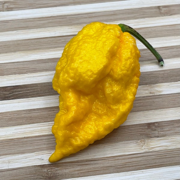 Yellow Fever - (Capsicum chinense) - 10 Seeds