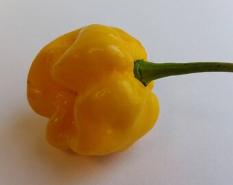 Moruga Scorpion Yellow - Seeds