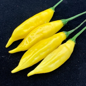 May include: Four bright yellow chili peppers with green stems. The peppers are arranged in a row, with the stems pointing to the right.