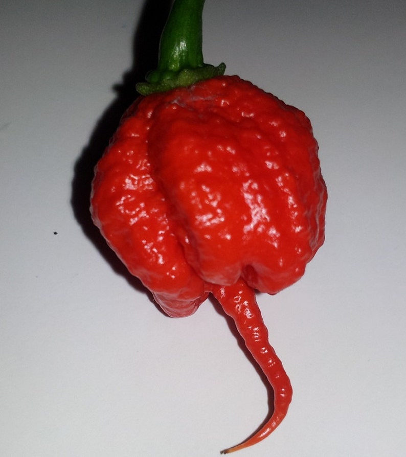 green reaper pepper
