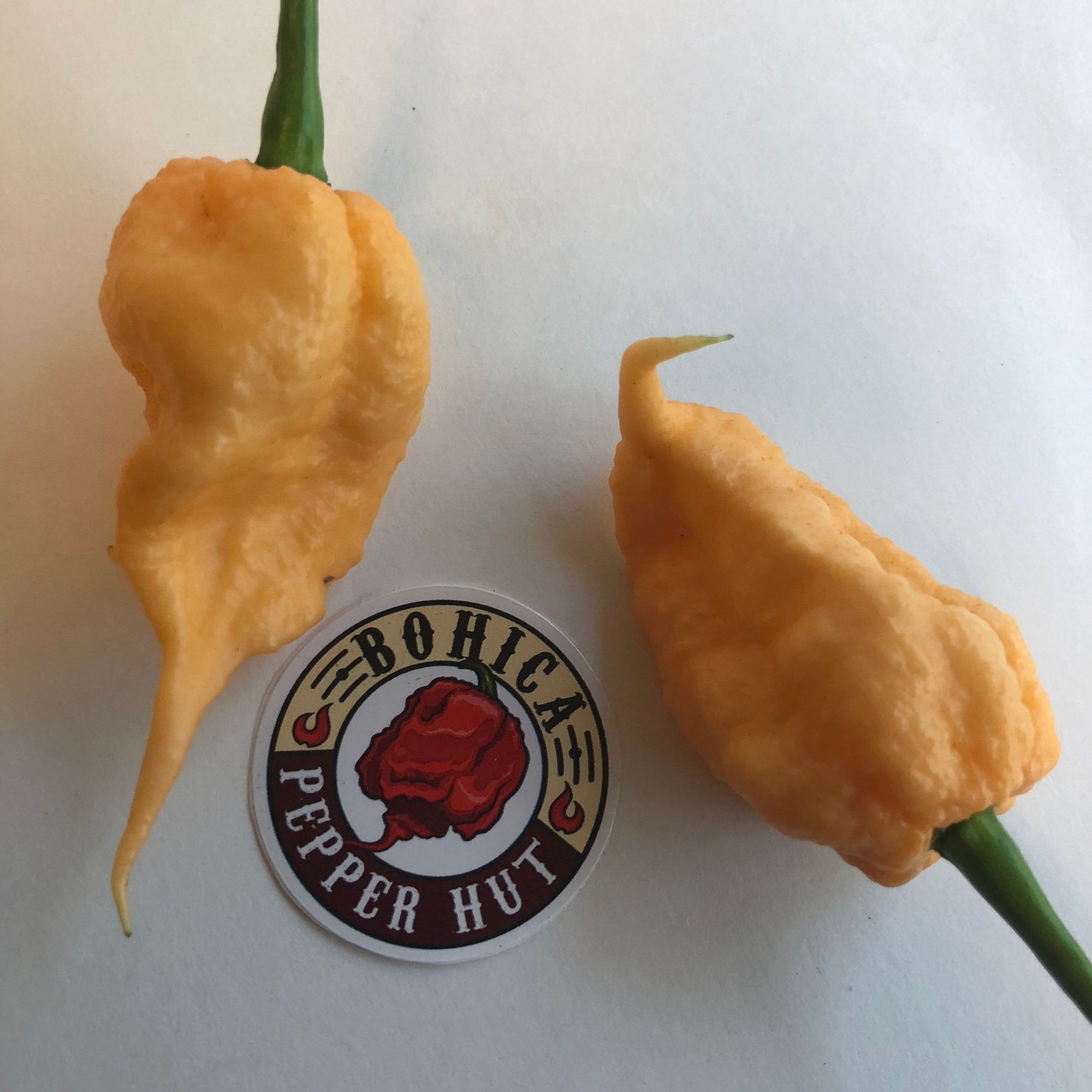 california reaper price california reaper price