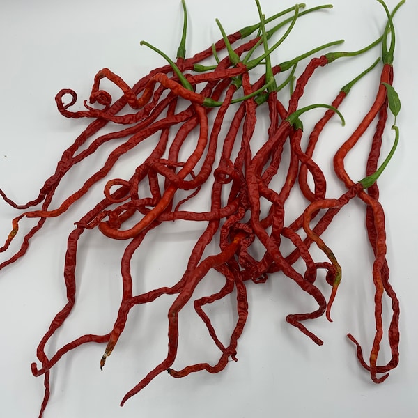 Thunder Mountain Longhorn - (Capsicum annuum) -  Seeds