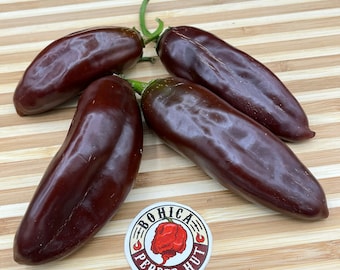 Brown Jalapeno - Seeds