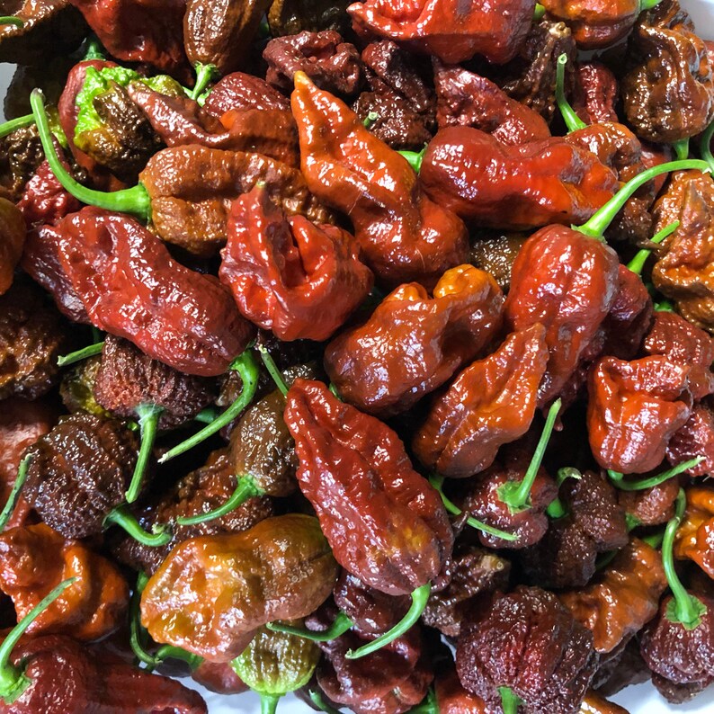 Fresh Super Hot Peppers Mixed Box of All Brown Colored Etsy