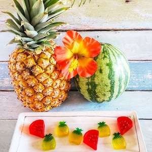 Watermelon & Pineapple soap set