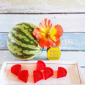 Watermelon novelty soap