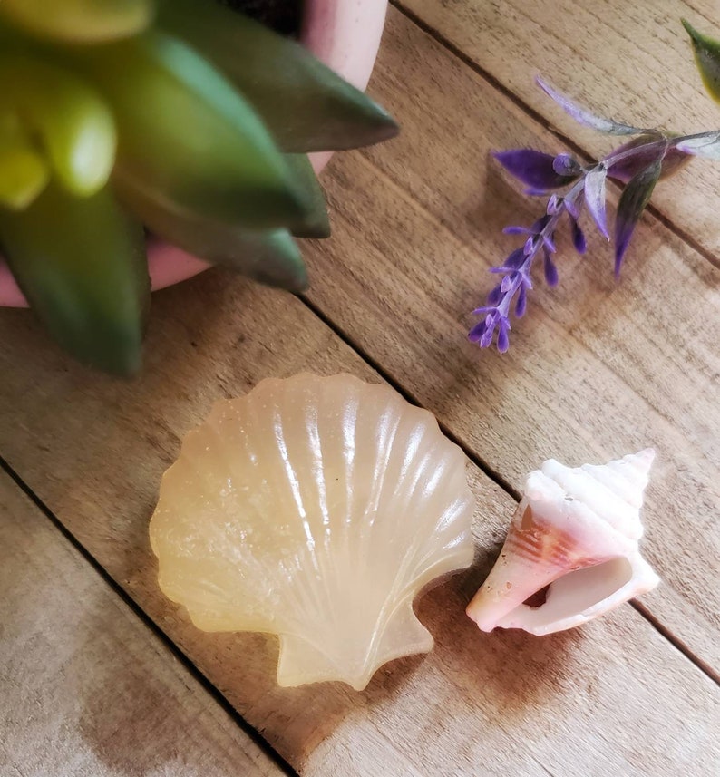 K&ouml;nnte beinhalten: Eine muschelf&ouml;rmige Seife und eine Kegelmuschel liegen auf einer Holzoberfl&auml;che. Die Seife ist hell, durchscheinend und gelb. Die Kegelmuschel ist wei&szlig; mit rosa und orangefarbenen Akzenten. Eine kleine Sukkulente und eine lila Blume befinden sich im Hintergrund.