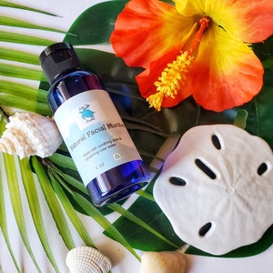 Natuurlijke vochtinbrengende crème voor het gezicht/Aloë vera-vochtinbrengende crème/Lichaams- en gezichtslotion/Hypoallergene lotion/Acne-gezichtslotion