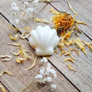 Puede incluir: Una pastilla de jabón blanca con forma de concha marina sobre una superficie de madera con pétalos de flores secas esparcidos alrededor.