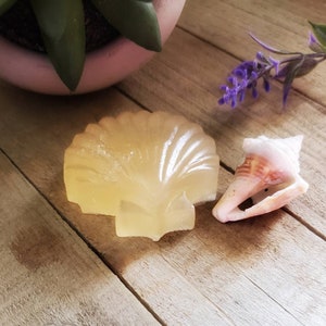 K&ouml;nnte beinhalten: Ein hellgelbes, muschelf&ouml;rmiges Seifenst&uuml;ck und eine kleine Muschel liegen auf einer Holzoberfl&auml;che. Die Seife hat ein detailliertes Muscheldesign. Ein rosa Topf mit einer gr&uuml;nen Pflanze und lila Blumen befindet sich im Hintergrund.