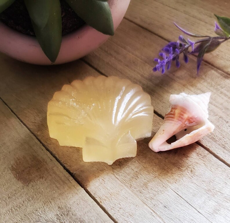 K&ouml;nnte beinhalten: Ein hellgelbes, muschelf&ouml;rmiges Seifenst&uuml;ck und eine kleine Muschel liegen auf einer Holzoberfl&auml;che. Die Seife hat ein detailliertes Muscheldesign. Ein rosa Topf mit einer gr&uuml;nen Pflanze und lila Blumen befindet sich im Hintergrund.