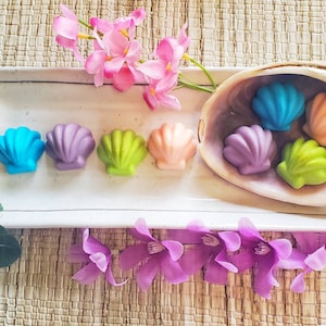 May include: Assortment of colorful seashell-shaped soaps on a white plate with a seashell bowl containing more soaps. The soaps are in shades of blue, purple, green, and pink.