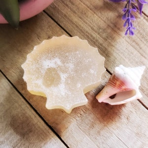 K&ouml;nnte beinhalten: Ein muschelf&ouml;rmiges St&uuml;ck Seife in hellem Gelb mit strukturierter Oberfl&auml;che. Neben der Seife liegt eine wei&szlig;-rosa Muschel. Seife und Muschel liegen auf einer Holzoberfl&auml;che.