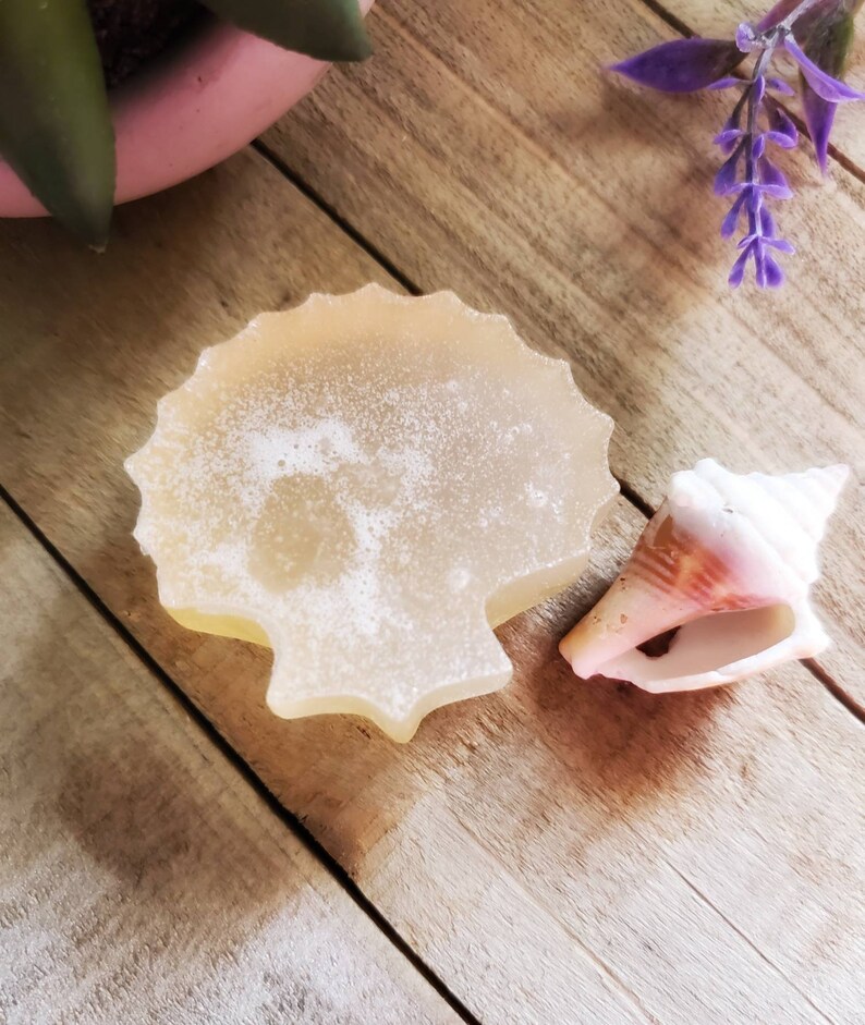 K&ouml;nnte beinhalten: Ein muschelf&ouml;rmiges St&uuml;ck Seife in hellem Gelb mit strukturierter Oberfl&auml;che. Neben der Seife liegt eine wei&szlig;-rosa Muschel. Seife und Muschel liegen auf einer Holzoberfl&auml;che.