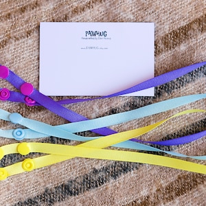 VENDITA Back To School Lanyard / 3 set di collane per maschera facciale, cordino per maschera facciale, tracolla, custode per maschera, supporto per maschera, cordino per maschera per bambini