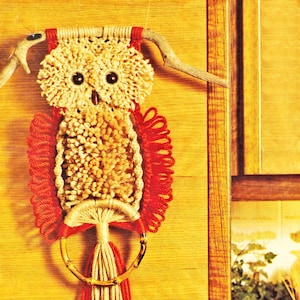 Cute Owl Wall Hanging in Two Sizes, Vintage Macrame Pattern, PDF, Digital Download - D349