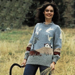 Ladies Fabulous Picture Sweater with Round Neck and Set in Sleeves, Vintage Knitting Pattern, PDF, Digital Download - C457