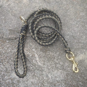Black and OD Green and Coyote 6 Strand Paracord Leash