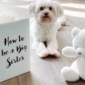 How To Be A Big Sister - Script - Dust Jacket - Digital Download - Fun Pregnancy Announcement