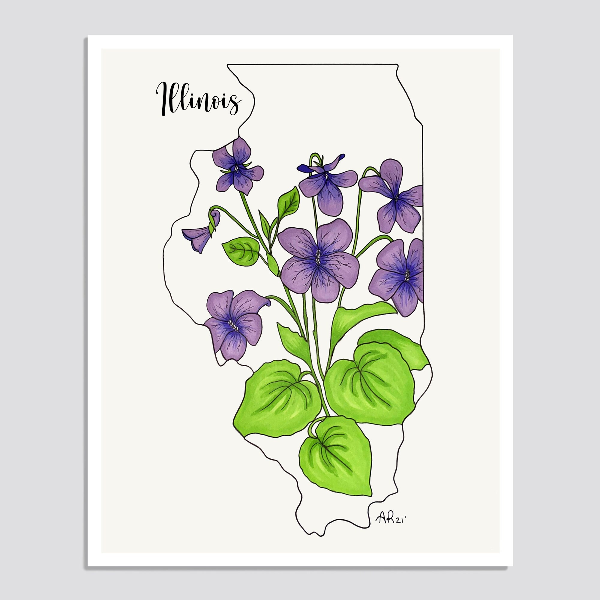 ILLINOIS State Flower Print State Art Print Gift Idea Map Etsy