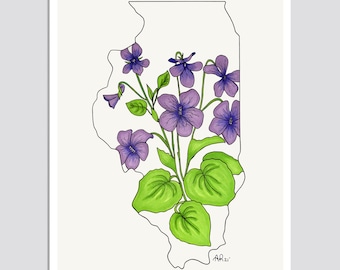 ILLINOIS State Flower Print, State Art Print, Gift Idea, Map Art