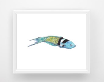 Bluehead Wrasse Digital Print, Printable Wall Art, Caribbean Art, Fish Art, Watercolor Art, Digital Download