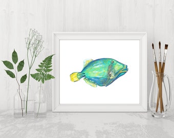 Download Freshwater Art Of An Alligator Garfish Gar Fish 8x10 Giclee Print Of A Watercolor Painting Giclee Art Collectibles Vadel Com