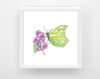 Brimstone Butterfly Digital Print, Butterfly Art Print, Zitronenfalter, Printable Wall Art, Green Wall Art, Watercolor Art, Digital Download