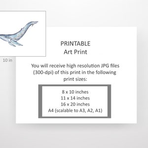 Humpback Whale Digital Print, Printable Wall Art, Watercolor Art ...