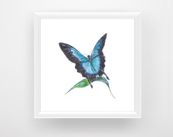 Ulysses Butterfly Digital Print, Butterfly Art Print, Australian Art, Printable Wall Art, Blue Wall Art, Watercolor Art, Digital Download