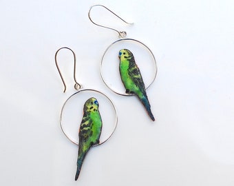 parrot earrings, statement earrings, hoop earrings, bird earrings, budgie earrings