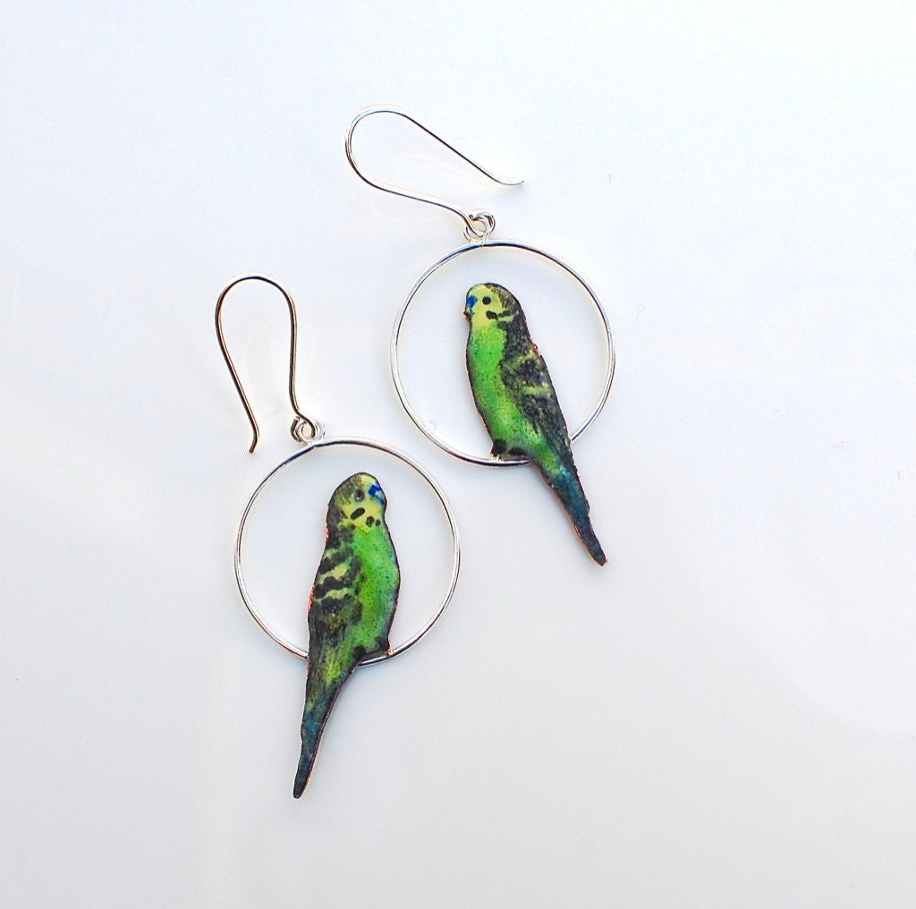 RAIDIN Acrylic Scarlet Macaw Parrot Earrings For Women - Dangle Drop Earrings, Hypoallergenic Stainless Steel Hooks