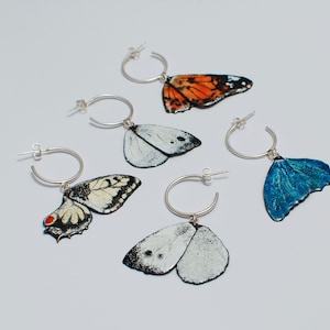 butterfly earrings, sterling silver and enamel