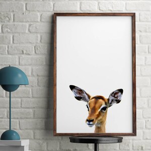 Antelope print, Antelope wall art poster, African printable wall art, Peekaboo Animals, Antelope color print, Africa room decor