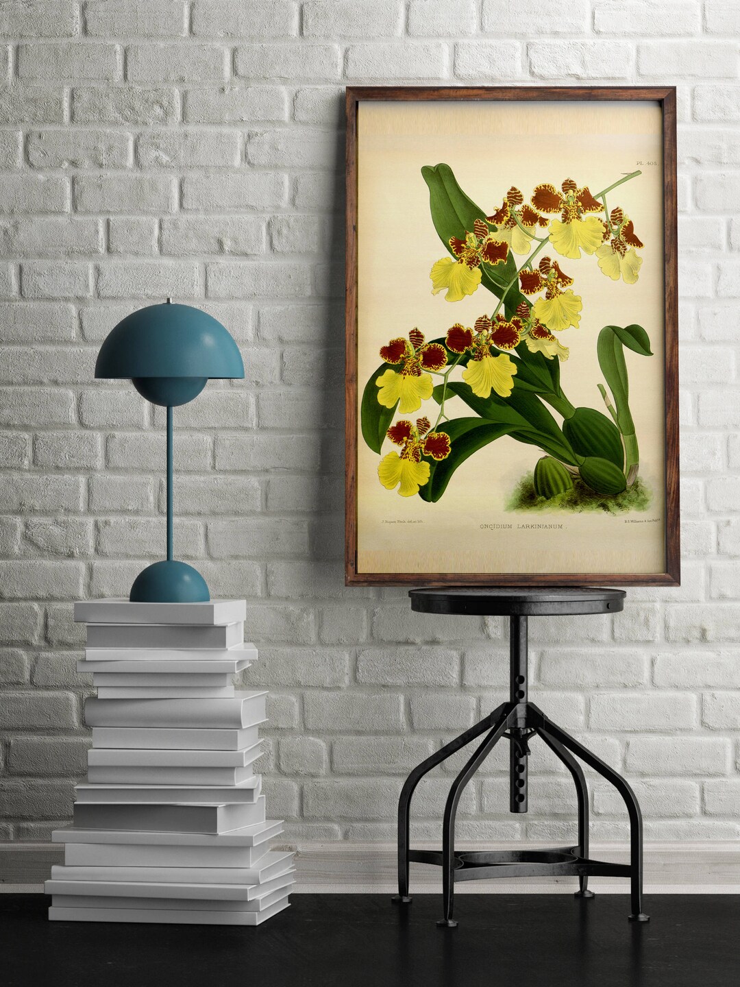 Antique Orchid Print Flowers Yellow Flower Print Wall Art Etsy